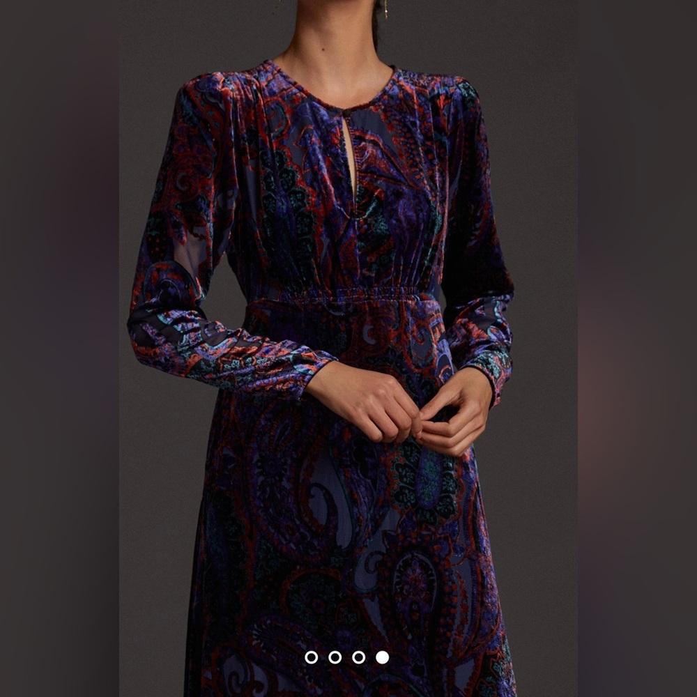 Anthropologie Burnout Velvet Maxi Dress